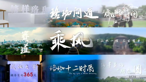 以心鑄魂 用情筑夢 著力培養(yǎng)堪當(dāng)大任的時代新人